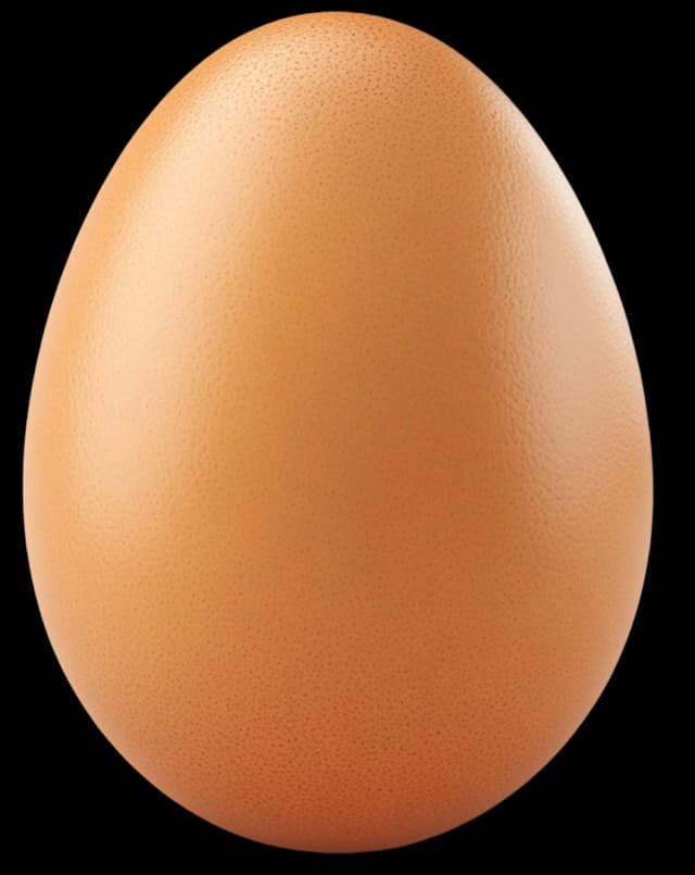 picture of an egg