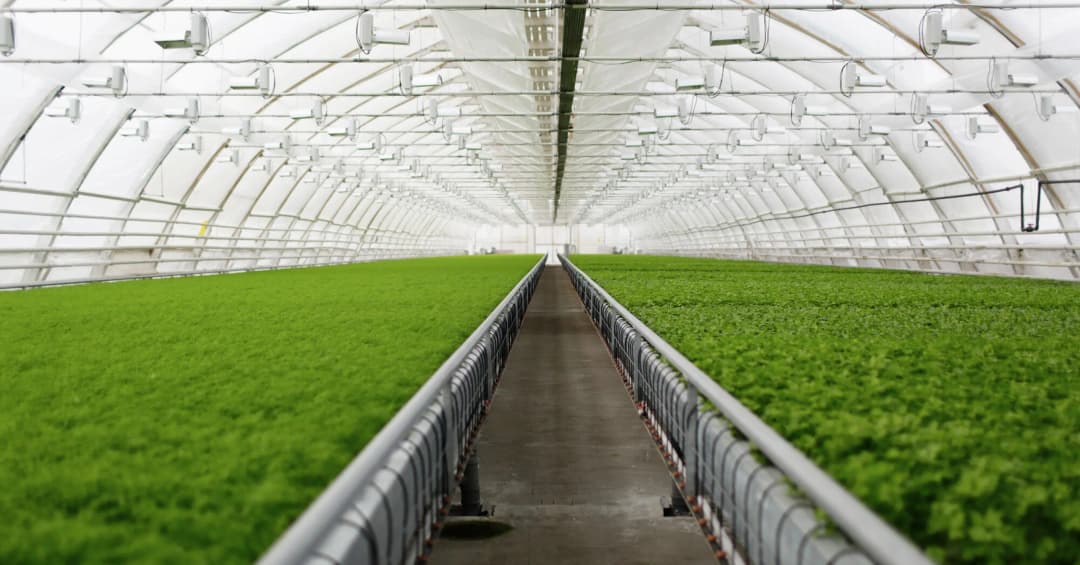 Sustainability