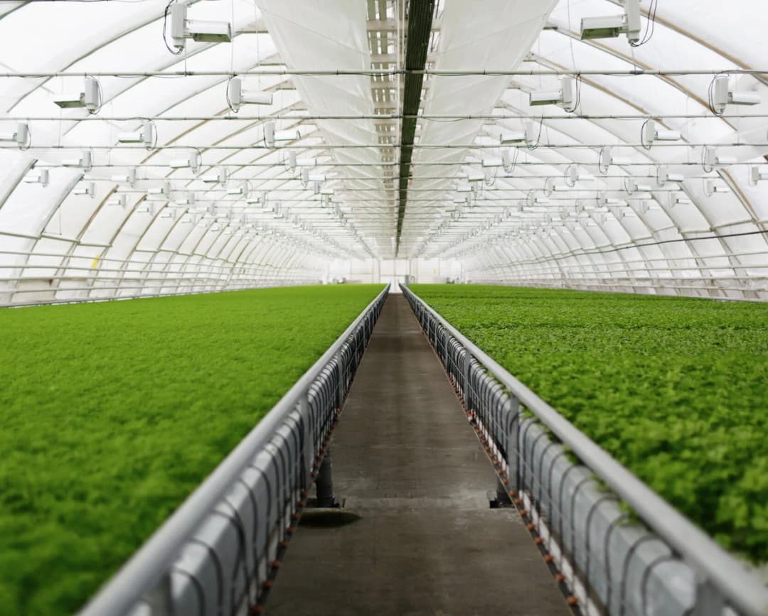 Eco-friendly Farming