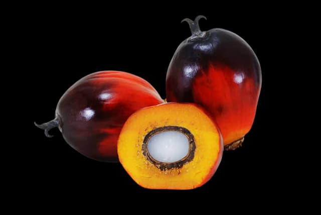 palm products